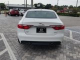Used 2019 Jaguar XF Prestige image 4