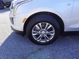 Used 2020 Cadillac XT5 Premium Luxury image 4