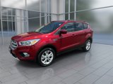 Used 2019 Ford Escape SEL image 4
