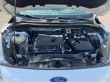Used 2020 Ford Escape SEL image 5