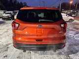 Used 2019 Ford Escape SE image 5
