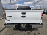 Used 2014 Ford F150 XLT w/ Equipment Group 302A Luxury image 6