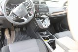 Used 2019 Honda CR-V EX image 6