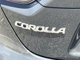 Certified 2024 Toyota Corolla LE image 6