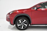 Used 2021 Lexus NX 300 AWD w/ Premium Package image 5