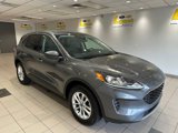 Used 2022 Ford Escape SE w/ Convenience Package image 1
