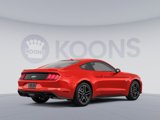 Used 2019 Ford Mustang GT w/ Equipment Group 301A image 4