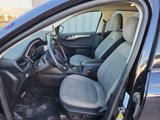 Used 2021 Ford Escape SE w/ Convenience Package image 2