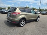 Used 2013 Ford Escape SEL image 5