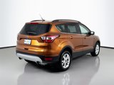 Used 2017 Ford Escape SE w/ Equipment Group 201A image 5