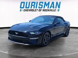 Used 2018 Ford Mustang Premium w/ Equipment Group 201A image 2