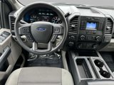 Used 2019 Ford F150 XL w/ Equipment Group 101A Mid image 4