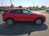 New 2024 Ford Escape Active w/ Tech Pack #2 image 6