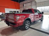 Used 2013 Ford F150 4x4 SuperCrew image 3