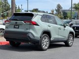 Used 2023 Toyota RAV4 XLE Premium image 4