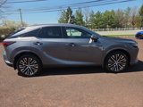 Certified 2023 Lexus RX 350 Premium Plus image 2