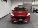 Used 2020 Ford Escape SE image 3