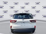 New 2025 Ford Escape ST-Line w/ Equipment Group 301A image 4