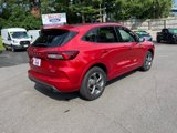 Used 2024 Ford Escape ST-Line image 6
