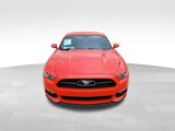Used 2015 Ford Mustang GT Premium w/ Equipment Group 401A image 3