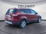 Used 2014 Ford Escape Titanium w/ Equipment Group 401A image 5