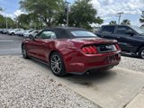 Used 2017 Ford Mustang Premium w/ Equipment Group 201A image 5