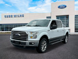 Used 2016 Ford F150 XLT w/ Equipment Group 302A Luxury image 5