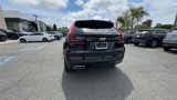 New 2025 Cadillac XT4 Premium Luxury image 6