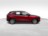 Certified 2022 Ford Escape SE w/ Convenience Package image 4