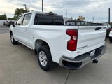Used 2019 Chevrolet Silverado 1500 LT w/ All-Star Edition image 4
