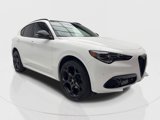 New 2025 Alfa Romeo Stelvio Tributo Italiano image 2