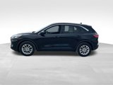 Used 2021 Ford Escape SE image 2