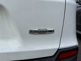 Used 2021 Jeep Cherokee Latitude Plus image 3