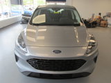 Used 2021 Ford Escape SE w/ SE Sport Appearance Package image 2