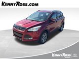 Used 2014 Ford Escape Titanium image 1
