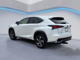 Used 2018 Lexus NX 300h AWD w/ Premium Package image 4