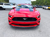 Used 2023 Ford Mustang Coupe w/ Equipment Group 101A image 5