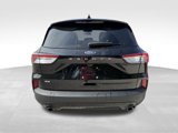 Used 2022 Ford Escape SE w/ SE Sport Appearance Package image 6