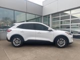 Used 2020 Ford Escape SE image 4