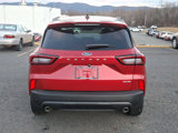 New 2025 Ford Escape ST-Line w/ Tech Pack #1 image 5
