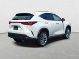 New 2025 Lexus NX 350 AWD w/ Accessory Package (2T) image 5