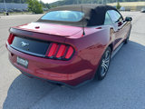 Used 2015 Ford Mustang Premium image 6