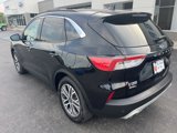 Used 2020 Ford Escape SEL image 3
