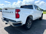 Used 2019 Chevrolet Silverado 1500 LT w/ Texas Edition image 5