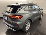 New 2025 Ford Escape Active w/ Cold Weather Package image 6