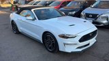 Used 2023 Ford Mustang Premium image 3