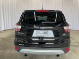 Used 2017 Ford Escape SE w/ SE Cold Weather Package image 5