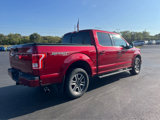 Used 2016 Ford F150 XLT w/ Equipment Group 302A Luxury image 3