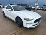 Used 2019 Ford Mustang Coupe w/ Equipment Group 101A image 4