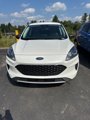 Used 2022 Ford Escape SE w/ Cold Weather Package image 1